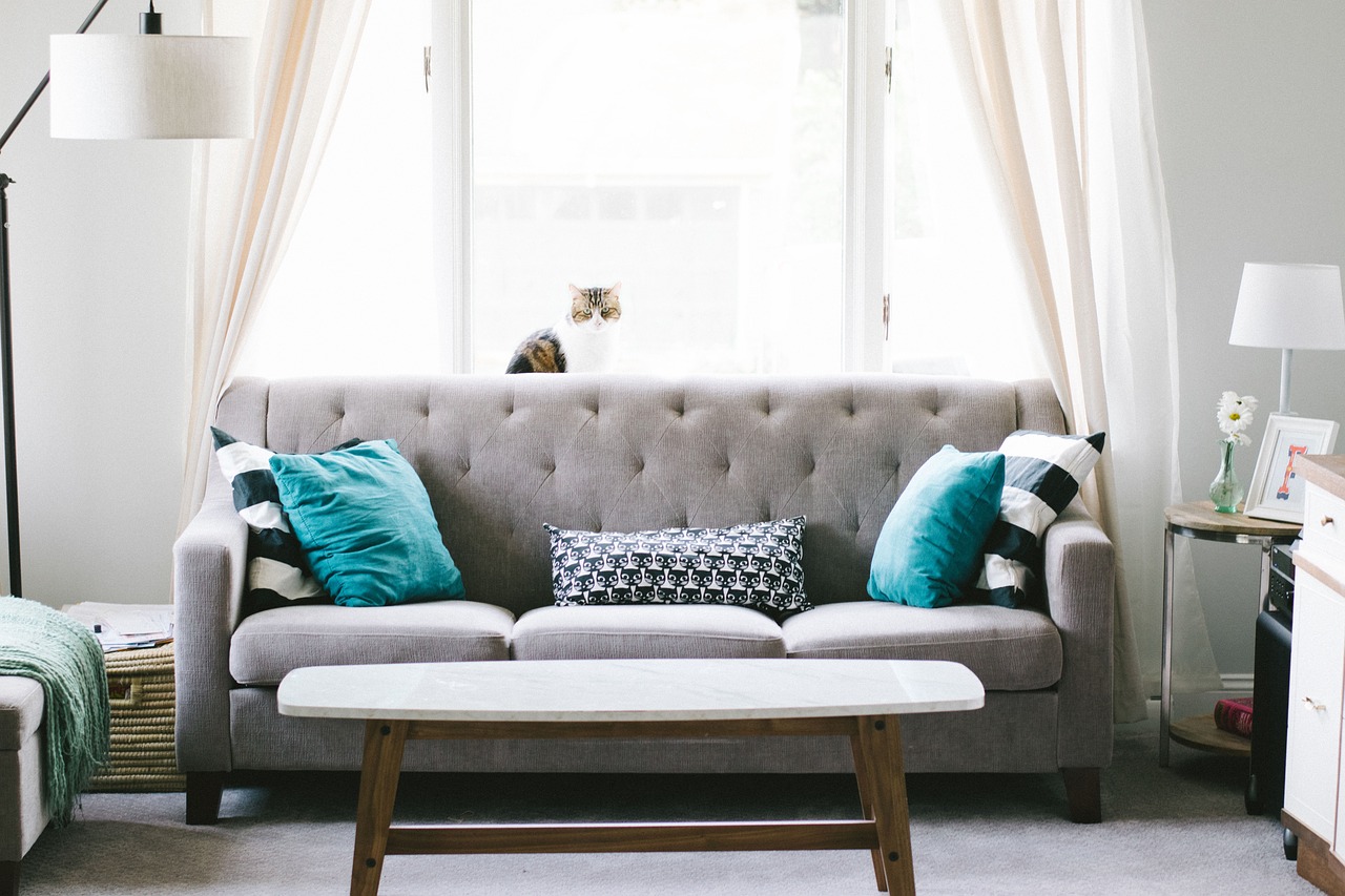 Couch Removal Anderson SC