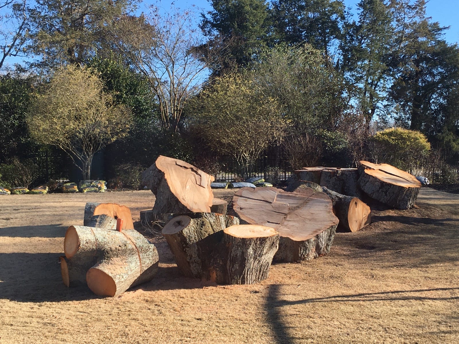 Stump Grinding Greenville SC