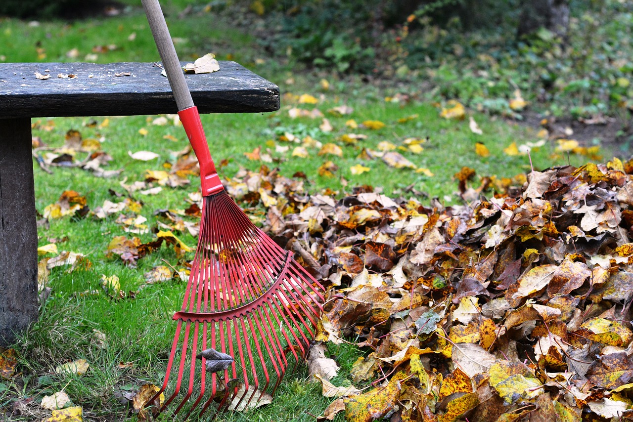 Leaf Removal Greenville SC